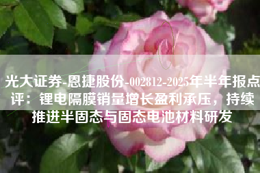 光大证券-恩捷股份-002812-2025年半年报点评：锂电隔膜销量增长盈利承压，持续推进半固态与固态电池材料研发