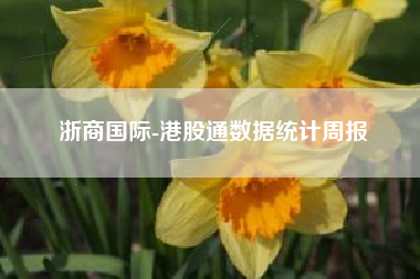 浙商国际-港股通数据统计周报