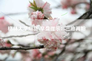 格林大华期货-早盘提示：三油两粕
