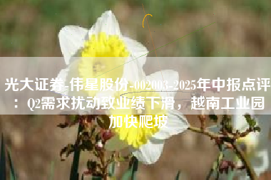 光大证券-伟星股份-002003-2025年中报点评：Q2需求扰动致业绩下滑，越南工业园加快爬坡