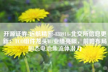 开源证券-远航精密-833914-北交所信息更新：TCO组件龙头H1业绩亮眼，前瞻布局固态电池集流体潜力