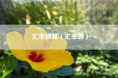 汇率换算（汇率表）