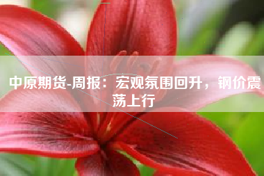 中原期货-周报：宏观氛围回升，钢价震荡上行