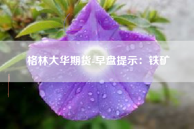 格林大华期货-早盘提示：铁矿