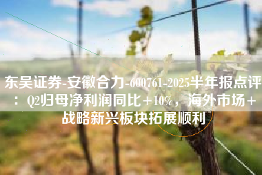 东吴证券-安徽合力-600761-2025半年报点评：Q2归母净利润同比+10%，海外市场+战略新兴板块拓展顺利
