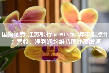 国海证券-江苏银行-600919-2025年中报点评：营收、净利润均维持同比高增速