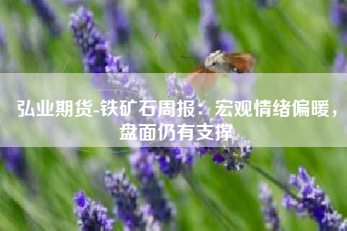 弘业期货-铁矿石周报：宏观情绪偏暖，盘面仍有支撑
