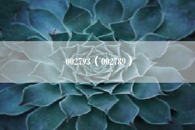 002793（002789）