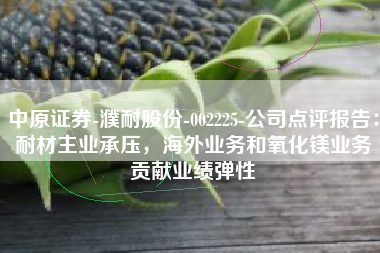 中原证券-濮耐股份-002225-公司点评报告：耐材主业承压，海外业务和氧化镁业务贡献业绩弹性