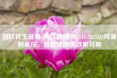 国联民生证券-鸿路钢构-002541-2025Q2吨盈利承压，智能化改造效果可期