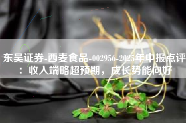 东吴证券-西麦食品-002956-2025年中报点评：收入端略超预期，成长势能向好
