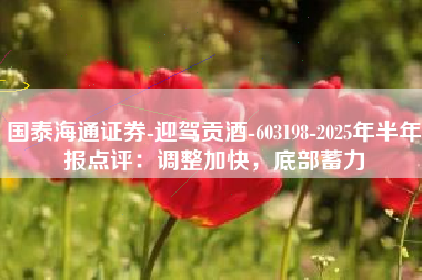 国泰海通证券-迎驾贡酒-603198-2025年半年报点评：调整加快，底部蓄力