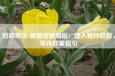 招商期货-玻璃纯碱周报：进入相持阶段，等待政策指引