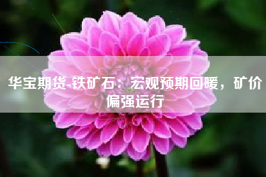 华宝期货-铁矿石：宏观预期回暖，矿价偏强运行
