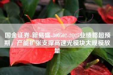 国金证券-新易盛-300502-2Q25业绩略超预期，产能扩张支撑高速光模块大规模放量