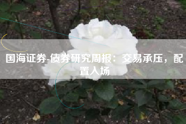 国海证券-债券研究周报：交易承压，配置入场