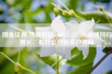 国金证券-博硕科技-300951-2025H1业绩回归增长，看好公司新客户布局