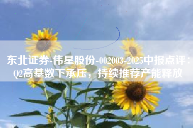 东北证券-伟星股份-002003-2025中报点评：Q2高基数下承压，持续推荐产能释放