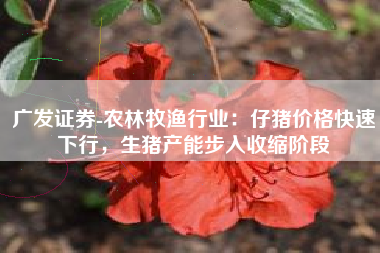 广发证券-农林牧渔行业：仔猪价格快速下行，生猪产能步入收缩阶段
