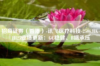招商证券（香港）-讯飞医疗科技-2506.HK-1H25业绩更新：GC稳健、B端承压