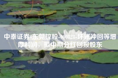 中泰证券-东莞控股-000828-坏账冲回等增厚利润，拟中期分红回报股东