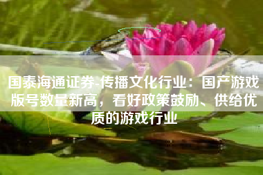 国泰海通证券-传播文化行业：国产游戏版号数量新高，看好政策鼓励、供给优质的游戏行业