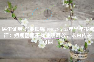 民生证券-兴业银锡-000426-2025年半年报点评：短期因素干扰业绩释放，未来成长可期
