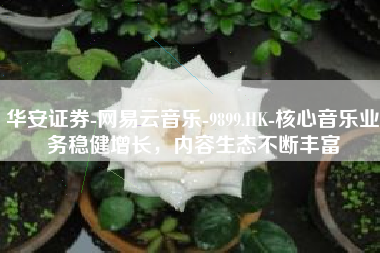 华安证券-网易云音乐-9899.HK-核心音乐业务稳健增长，内容生态不断丰富