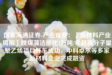 国泰海通证券-产业观察：【新材料产业周报】陕煤蒲洁能化4万吨/年超高分子量聚乙烯项目开车成功，中科卓尔等多家新材料企业完成融资