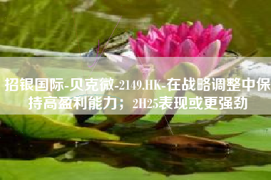 招银国际-贝克微-2149.HK-在战略调整中保持高盈利能力；2H25表现或更强劲