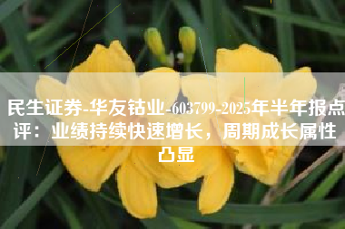 民生证券-华友钴业-603799-2025年半年报点评：业绩持续快速增长，周期成长属性凸显