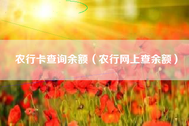 农行卡查询余额（农行网上查余额）