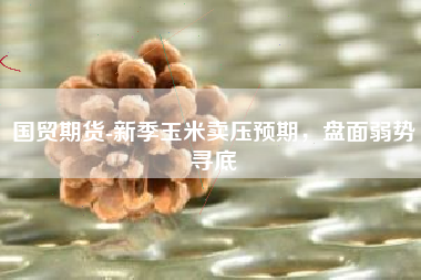 国贸期货-新季玉米卖压预期，盘面弱势寻底