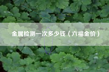 金属检测一次多少钱（六福金价）