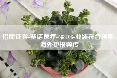招商证券-赛诺医疗-688108-业绩符合预期，海外捷报频传