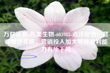 万联证券-丸美生物-603983-点评报告：营收增速亮眼，营销投入加大导致盈利能力有所下降