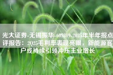 光大证券-无锡振华-605319-2025年半年报点评报告：2Q25毛利率表现亮眼，新能源客户或持续引领冲压主业增长