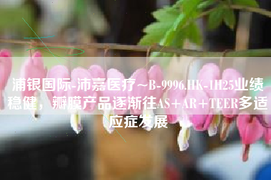 浦银国际-沛嘉医疗~B-9996.HK-1H25业绩稳健，瓣膜产品逐渐往AS+AR+TEER多适应症发展