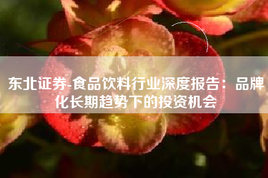 东北证券-食品饮料行业深度报告：品牌化长期趋势下的投资机会
