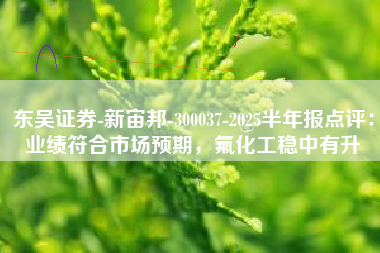 东吴证券-新宙邦-300037-2025半年报点评：业绩符合市场预期，氟化工稳中有升