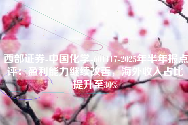 西部证券-中国化学-601117-2025年半年报点评：盈利能力继续改善，海外收入占比提升至30%