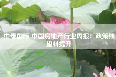 中泰国际-中国房地产行业周报：政策期望料提升