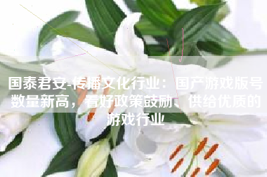 国泰君安-传播文化行业：国产游戏版号数量新高，看好政策鼓励、供给优质的游戏行业