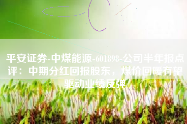 平安证券-中煤能源-601898-公司半年报点评：中期分红回报股东，煤价回暖有望驱动业绩反弹