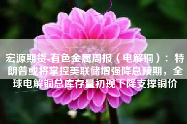 宏源期货-有色金属周报（电解铜）：特朗普或将掌控美联储增强降息预期，全球电解铜总库存量初现下降支撑铜价