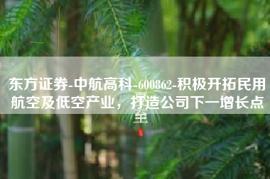 东方证券-中航高科-600862-积极开拓民用航空及低空产业，打造公司下一增长点
