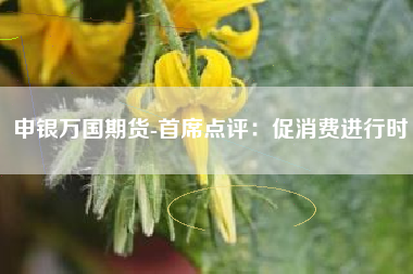 申银万国期货-首席点评：促消费进行时