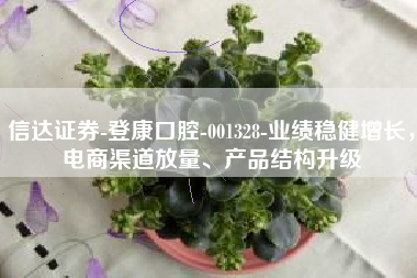 信达证券-登康口腔-001328-业绩稳健增长，电商渠道放量、产品结构升级