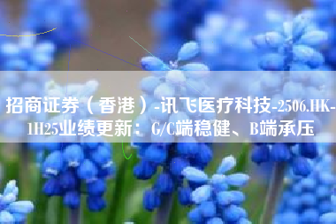 招商证券（香港）-讯飞医疗科技-2506.HK-1H25业绩更新：G/C端稳健、B端承压