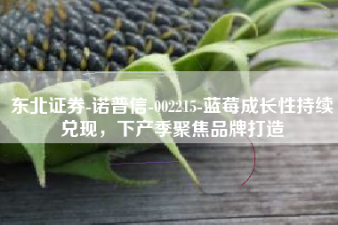 东北证券-诺普信-002215-蓝莓成长性持续兑现，下产季聚焦品牌打造